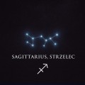 Strzelec naszyjnik zodiakalny konstelacja gwiazd znak sagittarius cyrkonie horoskop złoty - wodoodporna stal chirurgiczna