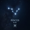 Naszyjnik zodiakalny ryby konstelacja gwiazd znak pisces cyrkonie horoskop - srebrna wodoodporna stal chirurgiczna